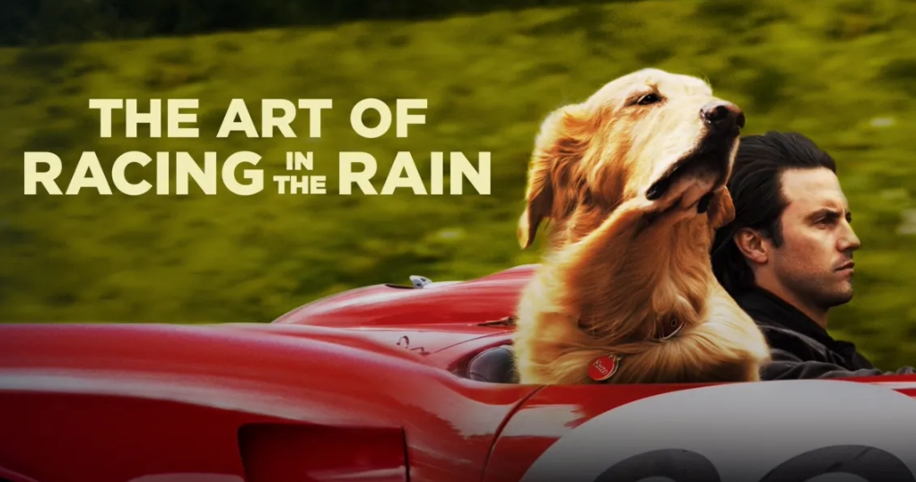 movies like The Art of Racing in The Rain.jpg movies like The Art of Racing in The Rain.jpg