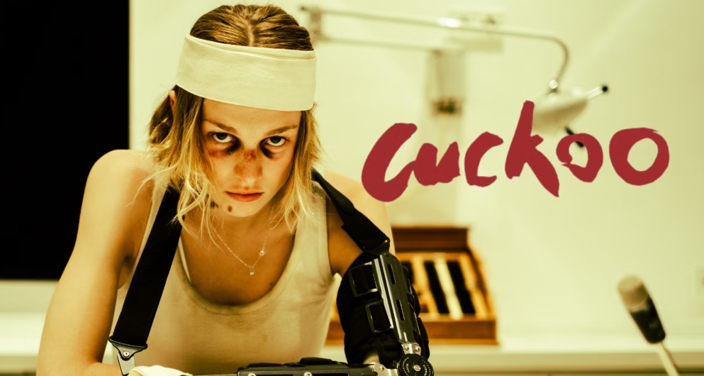 movies like Cuckoo.jpg movies like Cuckoo.jpg