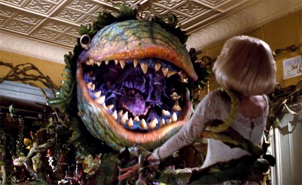 Movies Like Little Shop of Horrors.jpg