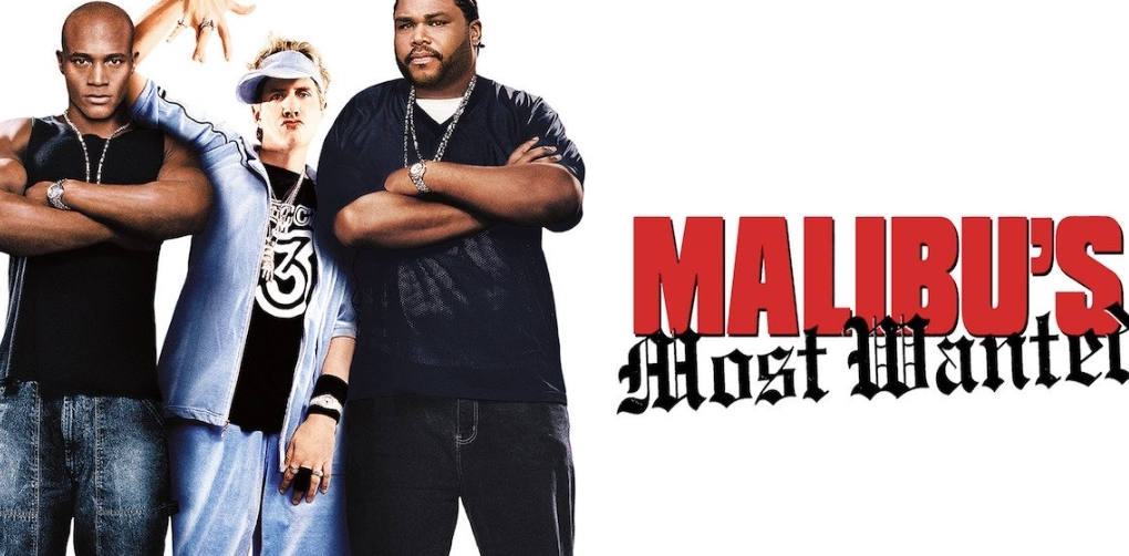 Malibu's Most Wanted .jpg