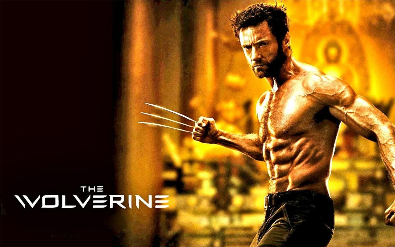 Movies Like The Wolverine.jpg