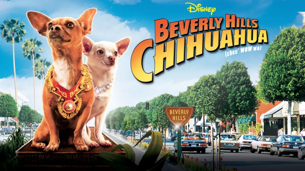 Movies Like Beverly Hills Chihuahua.jpg