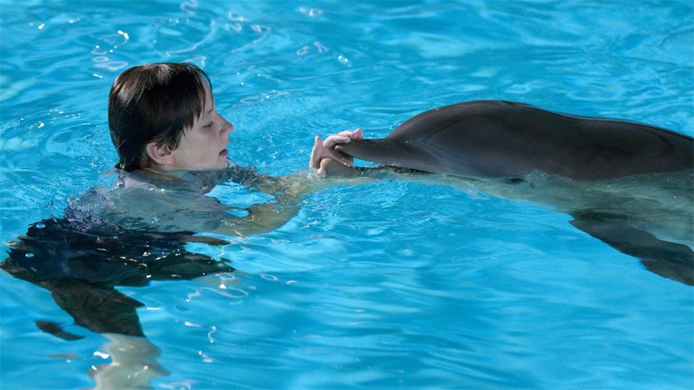 Movies Like Dolphin Tale.jpg