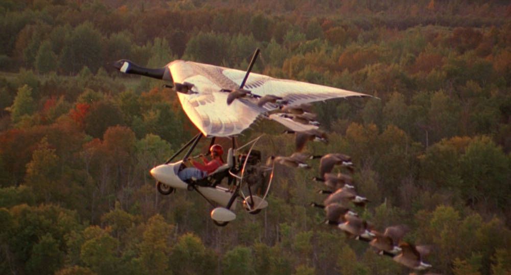 Movies Like Fly Away Home.jpg