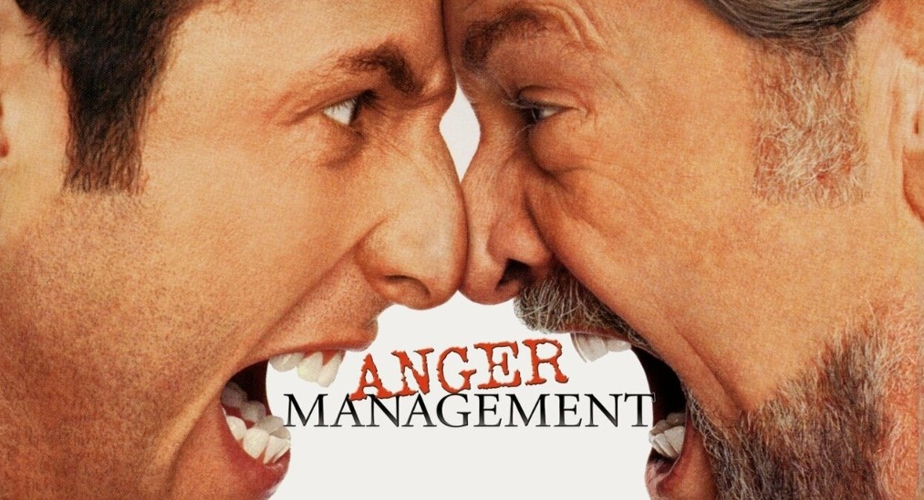 movies like anger management.jpg