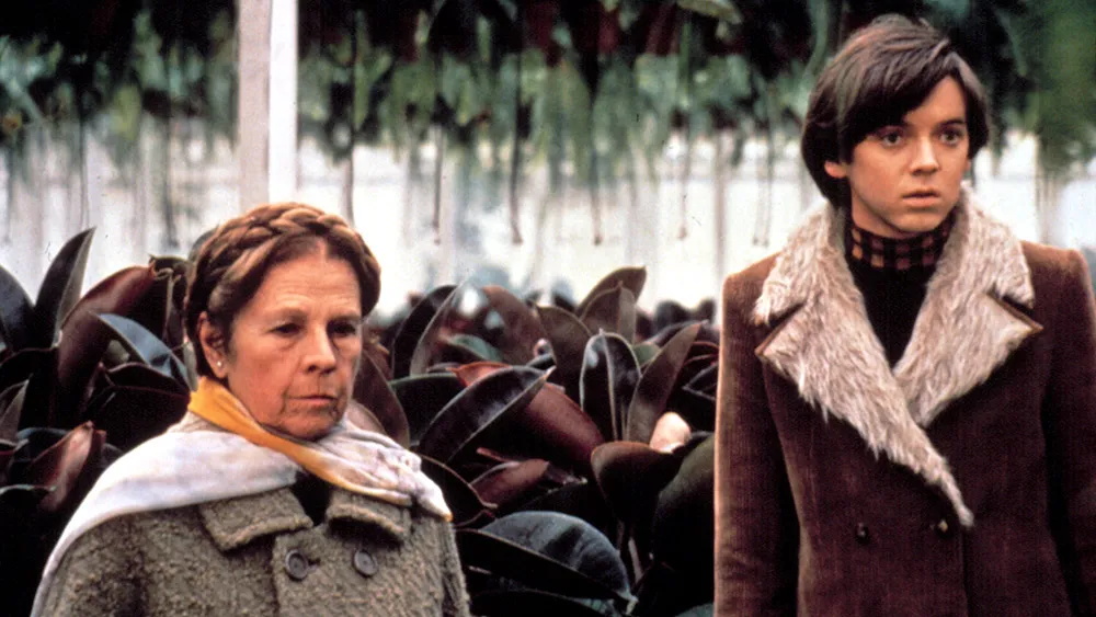 Movies Like Harold and Maude.jpg Movies Like Harold and Maude.jpg