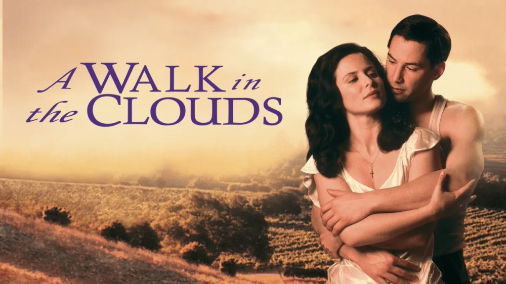 Movies Like A Walk in the Clouds.jpg