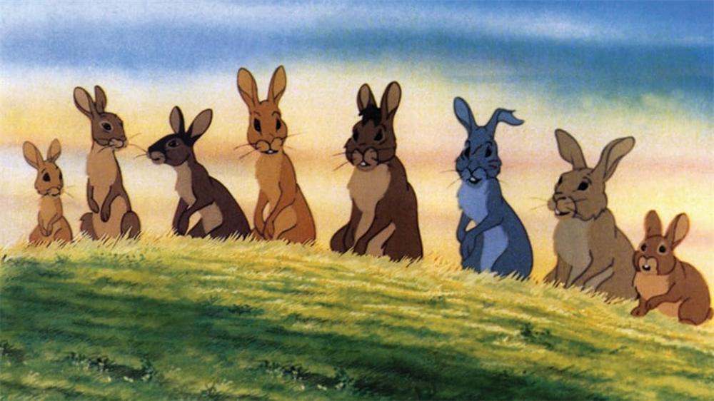 Movies Like Watership Down.jpg