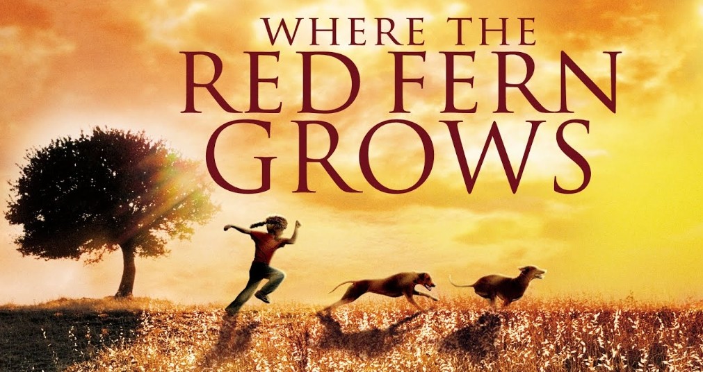 movies like Where The Red Fern Grows.jpg