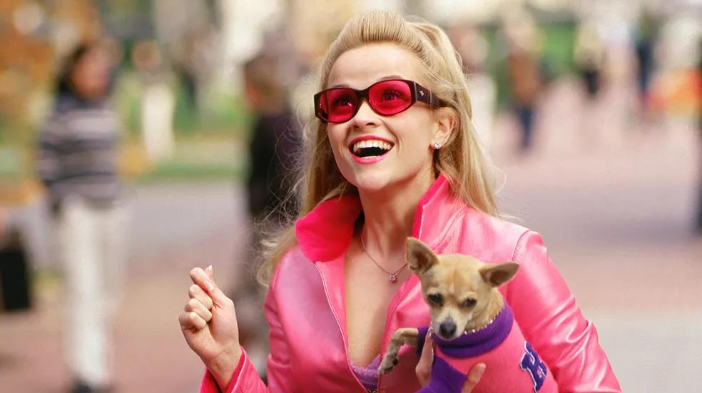 Movies Like Legally Blonde