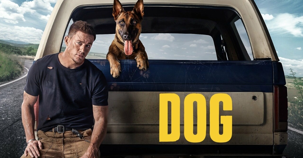 movies like Dog