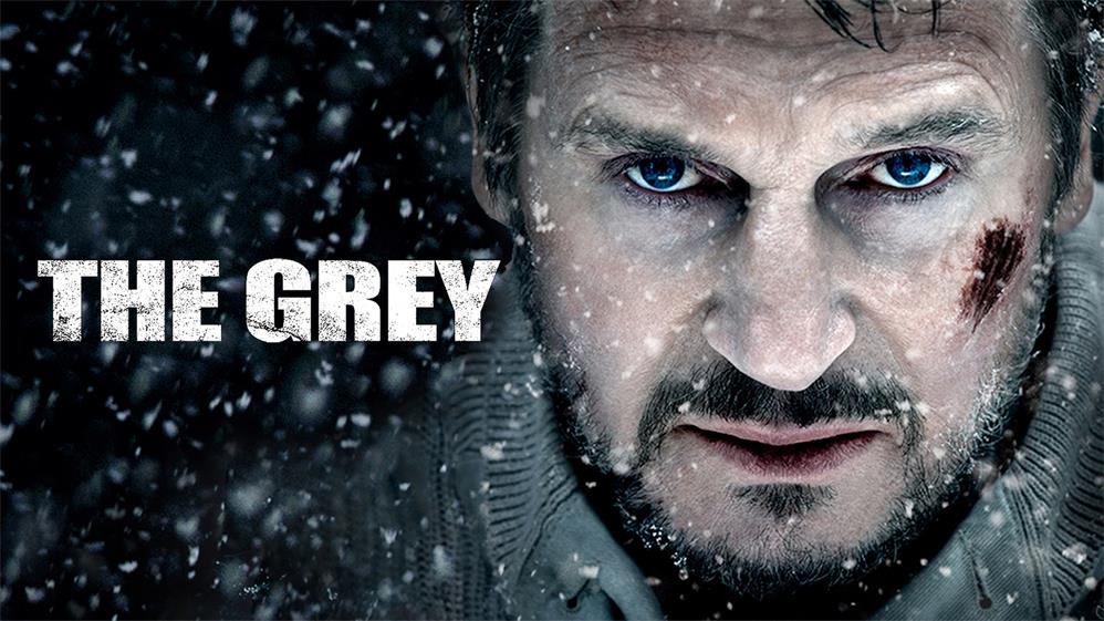 Movies Like The Grey