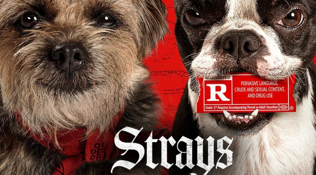 Movies Like Strays