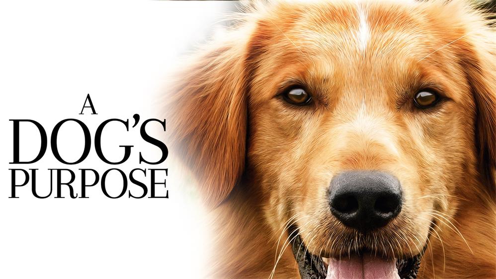 Movies Like A Dog's Purpose