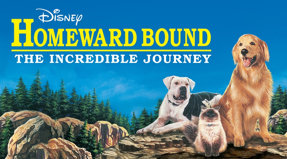 movies like The Homeward Bound