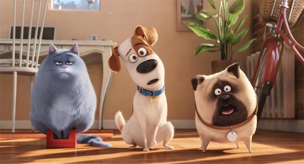 Movies Like The Secret Life of Pets