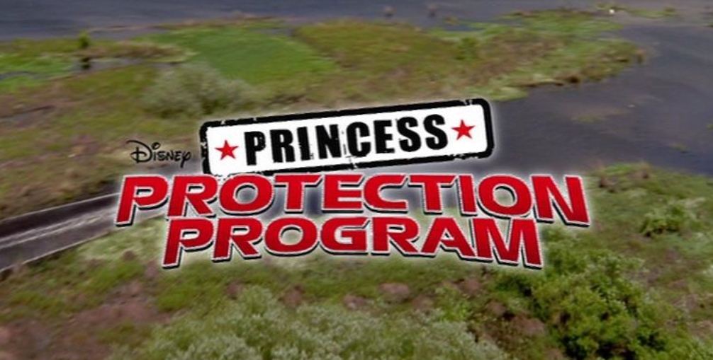 Movies Like Princess Protection Program