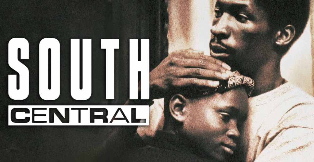 movies like South Central