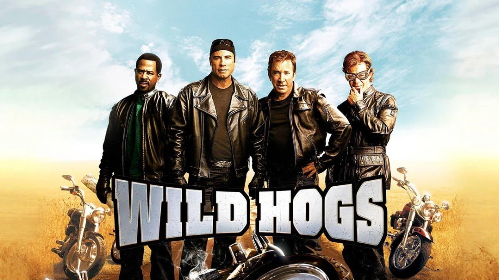 Movies Like Wild Hogs